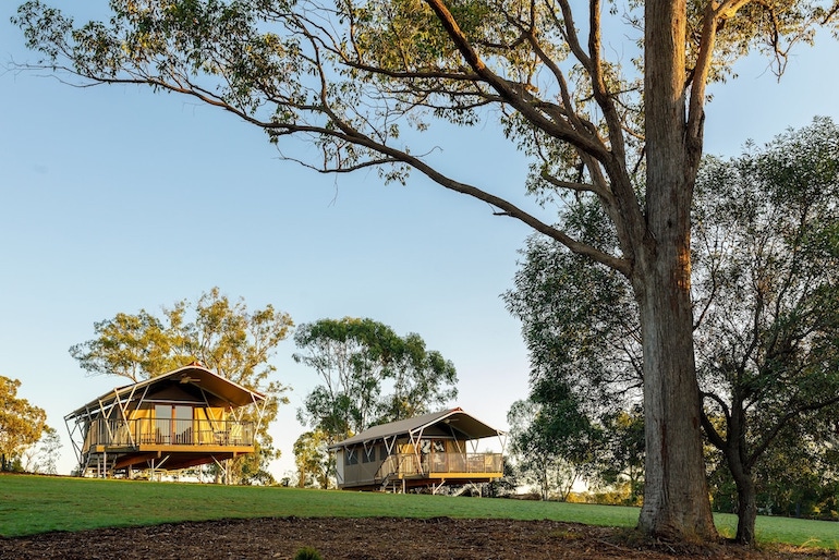 Sanctuary by Sirromet's free-standing bushland tents