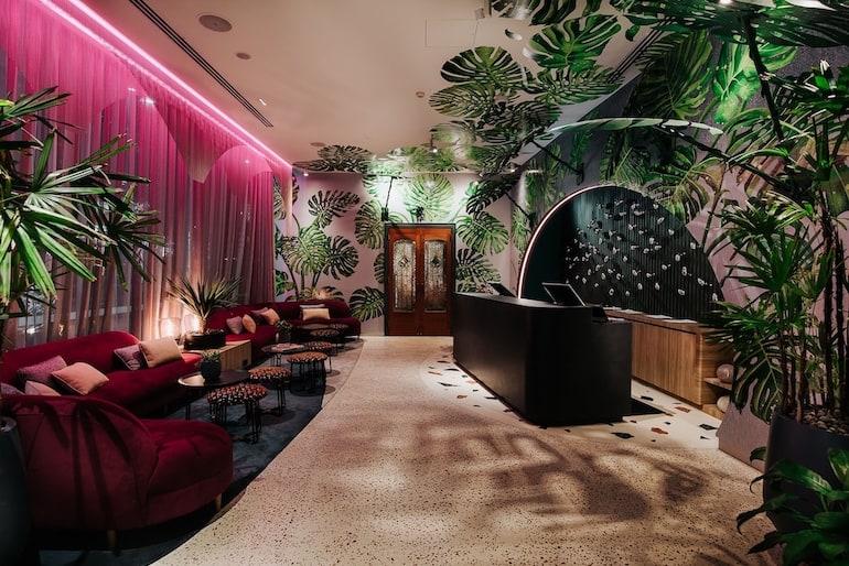 Ovolo The Valley Brisbane's detailed monstera murals and lush interiors with a tropical vibe