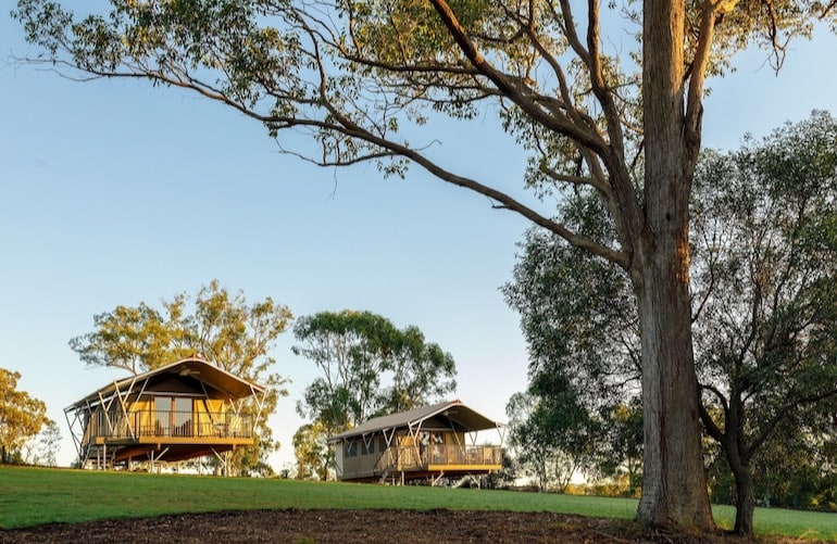 If you're looking for glamping weekend getaways from Brisbane, Sanctuary by Sirromet is the perfect spot.