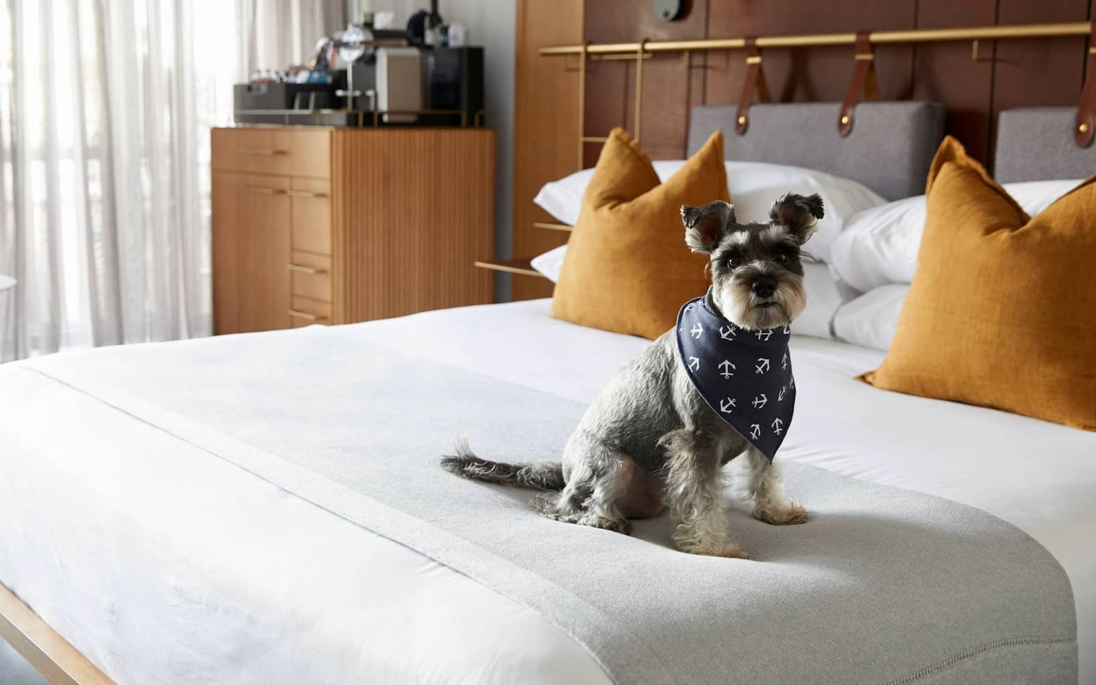 Luxury Pet-Friendly Hotels In Australia - View Retreats
