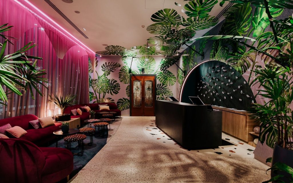 Ovolo The Valley Brisbane's tropical inspired interior design with monstera deliciosa murals
