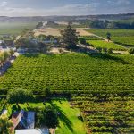 Gibson Wines - Barossa Valley